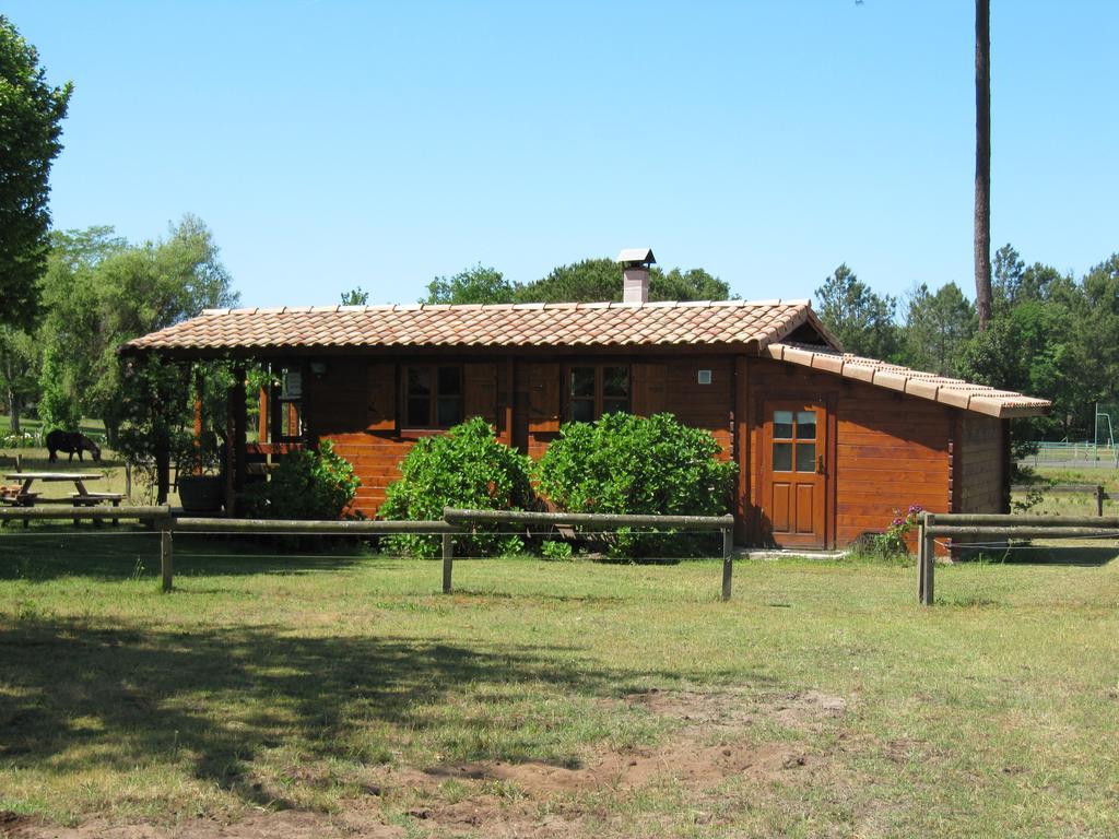 Gite Foret Landaise Sainte-Eulalie-en-Born Exterior photo