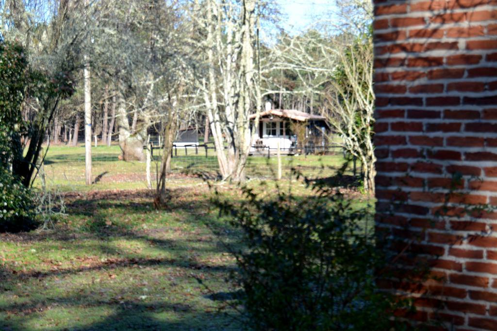 Gite Foret Landaise Sainte-Eulalie-en-Born Exterior photo